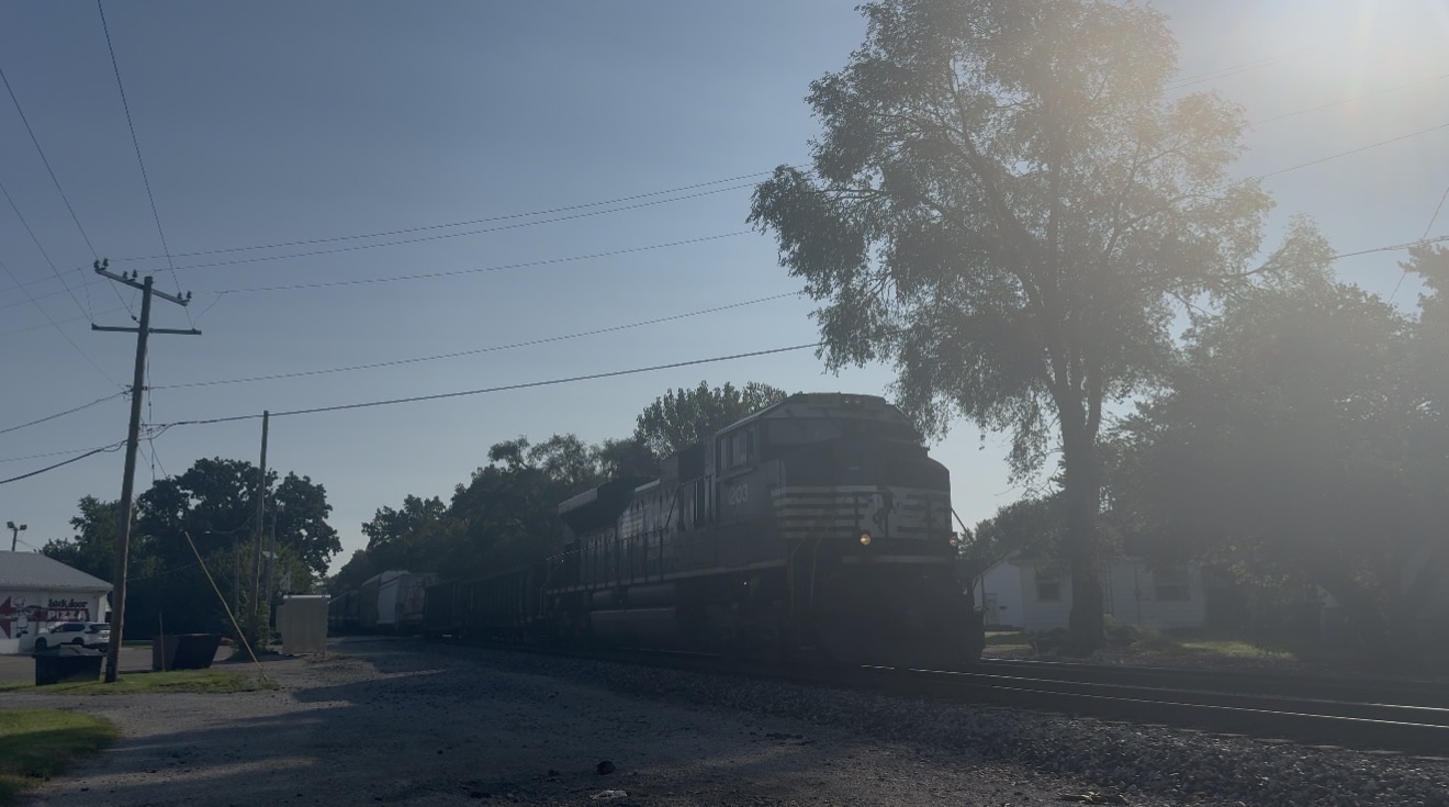 NS 1203